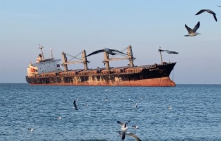 新增公廁！布魯維斯號周邊配套設(shè)施上新